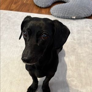 Meet your Posher, Zach